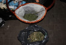 Schwytani za narkotyki w Markach