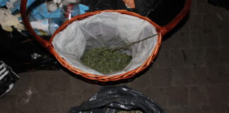 Schwytani za narkotyki w Markach