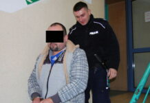 Damski bokser z Ząbek