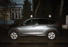 Amator Hond złapany w Zielonce