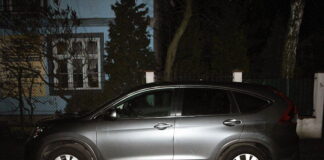 Amator Hond złapany w Zielonce