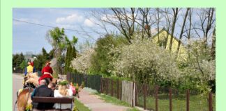 „Vademecum – w korowodzie weselnym rodziców Cypriana Norwida”