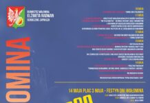 Rozpiska imprez w ramach DNI WOŁOMINA