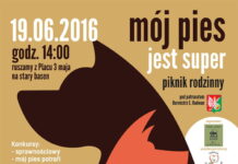 Mój pies jest super