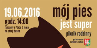 Mój pies jest super