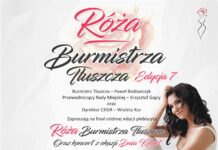 Róża Burmistrza Tłuszcza 2017