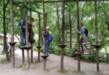 Lato w Mieście w MDK