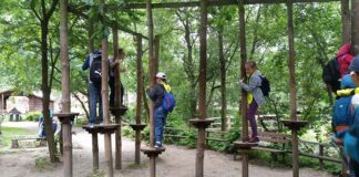 Lato w Mieście w MDK