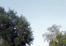 Najważniejsze do zrobienia w Duczkach