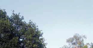 Najważniejsze do zrobienia w Duczkach