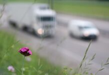 Stan powietrza w Wołominie