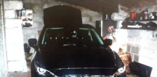 Gm. Poświętne. „Dziupla” zlikwidowana, paser zatrzymany